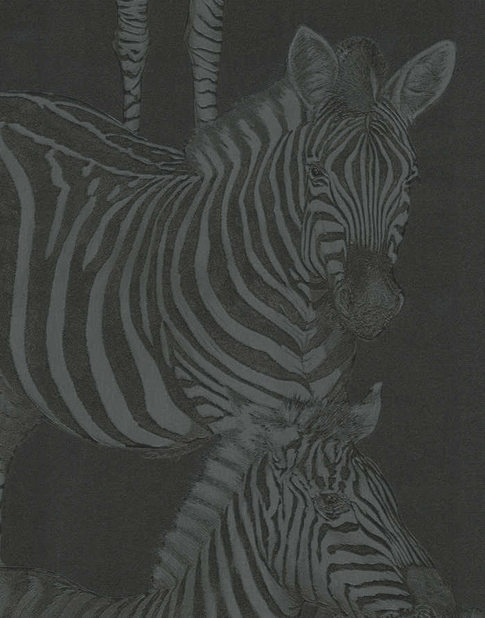 TCW007TCAHO_UZ018_2