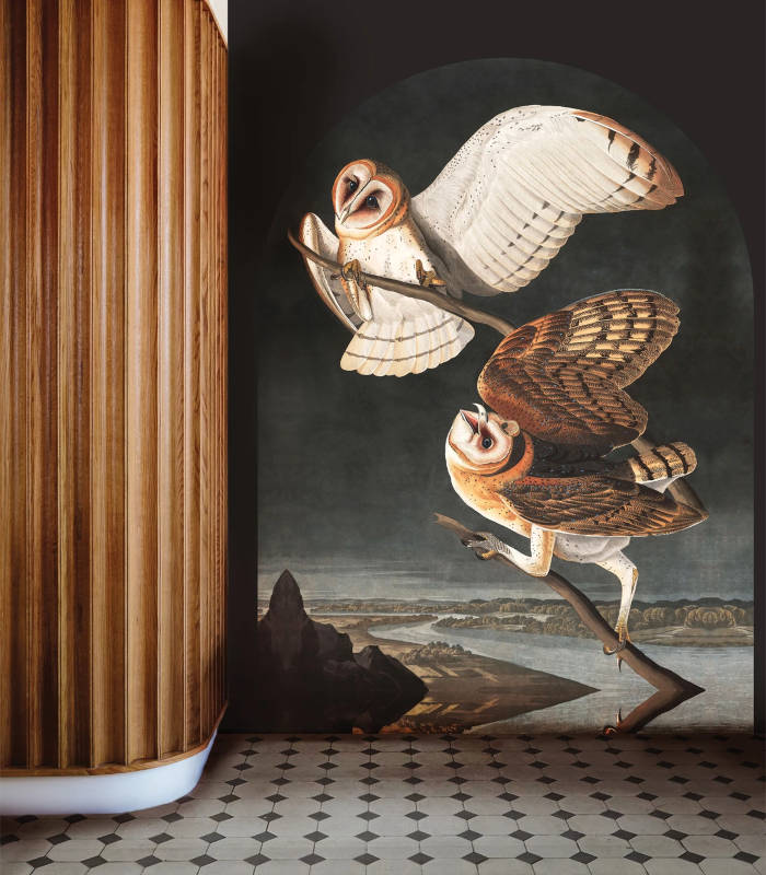 owls-wallpaper