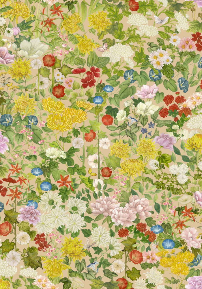 C_S_Shinrin_Yoku_Flora_Province_126-8029