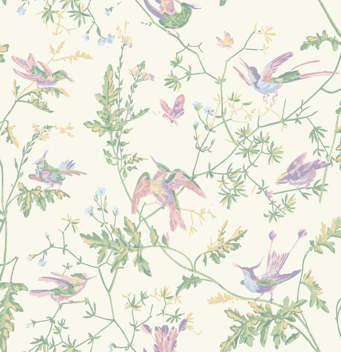 Cole_SonSelectionofHummingbirds-Hummingbirds124-1001