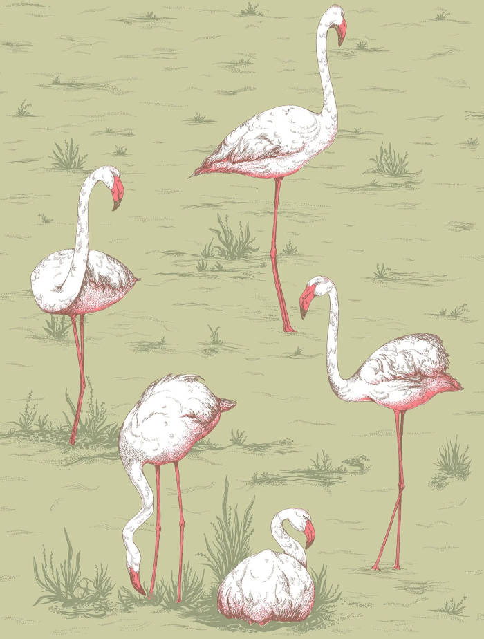 Flamingos_Image_Flatshot_Item_112-11038