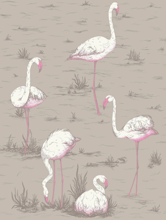 Flamingos_Image_Flatshot_Item_66-6042