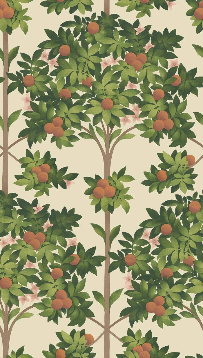 OrangeBlossom_Image_Flatshot_Item_117-1001