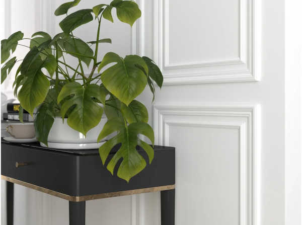 Mardom Decor listwy