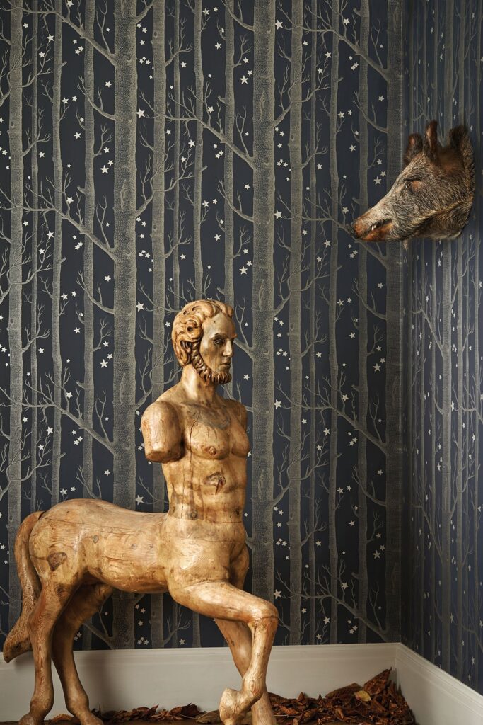 Woods_Stars_Image_Roomshot_Item_103-11053